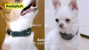 Show in main carousel: PetSafe NanoBark 2.0 Waterproof Dog Bark Collar, Navy Blue slide 11 of 11