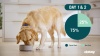 Show in main carousel: Purina Pro Plan Veterinary Diets UR Urinary Ox/St Dry Dog Food, 6-lb bag slide 11 of 11
