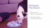 Show in main carousel: Nina Ottosson by Outward Hound Dog Hide N Slide Dog Toy, Green slide 10 of 11