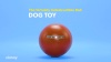 Show in main carousel: The Virtually Indestructible Ball Dog Toy, Color Varies, 14-in slide 5 of 6