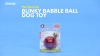 Show in main carousel: Pet Qwerks Blinky Babble Ball Dog Toy, Medium slide 8 of 9