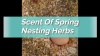 Show in main carousel: Pampered Chicken Mama Scent of Spring Poultry Nesting Box Herbs, 10-oz bag slide 7 of 7