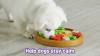 Show in main carousel: Brightkins Pizza Party! Treat Puzzle Dog toy slide 8 of 9