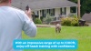 Show in main carousel: Premier Pet 1000-ft with Rechargeable Battery Dog Remote Training Collar, Gray slide 7 of 8