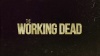 A Glimpse Into The Working Dead Video