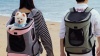 Show in main carousel: Petsfit Easy-Fit Airline Approved Backpack Dog & Cat Carrier, 13.5 x 12.5 x 17.5-in, Gray slide 9 of 10