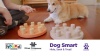 Show in main carousel: Nina Ottosson by Outward Hound Dog Smart Composite Dog Toy slide 9 of 10