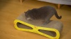 Show in main carousel: Coziwow Wave Cat Scratcher Lounge Toy with Catnip, White slide 10 of 12