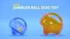 Show in main carousel: KONG Jumbler Ball Dog Toy, Color Varies, Medium/Large slide 9 of 11