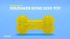 Show in main carousel: Gnawsome Squeaker Bone Dog Toy, Color Varies, Medium slide 7 of 8