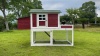 Show in main carousel: Caitec Barn Style Pigeon Hutch, Large slide 6 of 6