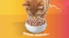 Show in main carousel: Purina Friskies Seafood & Chicken Pate Favorites Variety Pack Wet Cat Food, 5.5-oz can, case of 48 slide 12 of 13