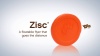 Show in main carousel: West Paw Zogoflex Zisc Flying Disc Dog Toy, Ruby Red, Small slide 4 of 5