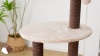 Show in main carousel: Petpals 48-in 5-Level Large Cat Tree with Scratching Posts, Brown slide 10 of 11