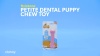 Show in main carousel: Nylabone Puppy Teething & Soothing Flexible Chicken Flavor Chew Dog Toy Pink, X-Small slide 10 of 13