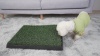 Show in main carousel: Coziwow by Jaxpety Indoor Grass Potty Dog Pee Turf with Drawer, 20 x 25-in slide 11 of 12
