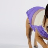 Show in main carousel: GF Pet Color Block Dog Puffer Jacket, Purple, X-Large slide 10 of 11