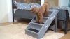 Show in main carousel: Coziwow 4-Step Foldable Dog Stairs, Beige slide 10 of 11
