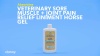 Show in main carousel: Absorbine Veterinary Topical Menthol Sore Muscles & Arthritis Pain Relief Horse Liniment Gel, 12-fl oz slide 7 of 8