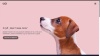 sitebuilder-new-designs