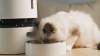 Show in main carousel: Petlibro Granary WIFI 2.4g & 5G Automatic Cat & Dog Feeder + 3 Pet Food Desiccant Bags, White, 5-L slide 10 of 11