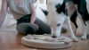 Show in main carousel: Nina Ottosson by Outward Hound Hide N' Slide Puzzle Game Dog Toy, Small slide 12 of 13