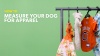 Show in main carousel: Pets First NFL Reversible Dog & Cat Bandana, Buffalo Bills, Small/Medium slide 5 of 6