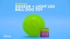Show in main carousel: Gnawsome Squeak & Light LED Ball Dog Toy, Color Varies, Small slide 7 of 8
