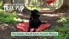 Show in main carousel: FurHaven Trail Pup Packable Stuff Sack Travel Pillow Dog Bed, Aqua & Granite Gray, Large slide 10 of 11