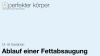 HD body contouring – Kuzbari Centre Vienna