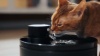 Show in main carousel: VIVIPAL Wireless Cat Water Fountain, 108-oz, Black slide 10 of 11