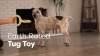 Show in main carousel: Earth Rated Tug Dog Toy, Small slide 9 of 10