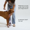 Show in main carousel: Wild One Adjustable Cushioned Dog Harness, Spruce, Small slide 5 of 7