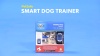 Show in main carousel: PetSafe Smart Dog Training Collar slide 9 of 11