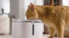 Show in main carousel: PawsPik NOVA-01 Wireless Water Power Seperation Rechargeable Dog & Cat Water Fountain, White slide 10 of 11