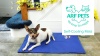 Show in main carousel: Arf Pets Self-Cooling Solid Gel Dog Crate Mat, 35 x 55 in slide 8 of 9