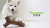 Show in main carousel: Benebone Bacon Stick Tough Dog Chew Toy, Large slide 8 of 10