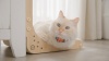 Show in main carousel: Necoichi Premium Comfort Cat Scratcher Wall, Oak/Brown, Regular slide 8 of 9