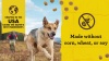 Show in main carousel: Zuke's Mini Naturals Chicken Recipe Training Dog Treats, 16oz pouch slide 11 of 15