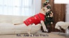 Show in main carousel: NANAKI Machine Washable Dog Christmas Sweater, Red, Medium slide 9 of 10