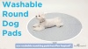 Show in main carousel: Paw Inspired Round Whelping Washable Dog Pee Pads, 2 count, 48-in slide 7 of 8