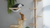 Show in main carousel: FUKUMARU Solid Rubber Wood Wall Mounted Cat Wall Shelf with 2 Platform & Sisal Mat, Brown slide 7 of 7