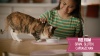Show in main carousel: BFF Rainbow A Gogo Variety Pack Wet Cat Food Pouches, 3-oz, case of 12 slide 13 of 13