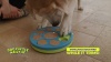 Show in main carousel: Pets Know Best 2-In-1 Dog Treat Puzzle & Nail File Toy, Green slide 7 of 8