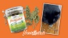 Show in main carousel: Meowijuana Jar of Organic Catnibas Catnip Buds, 20-g jar slide 9 of 10