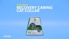 Show in main carousel: Calm Paws Recovery Caring Cat Collar, X-Small slide 6 of 8