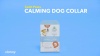 Show in main carousel: Calm Paws Essentials Serene Pet Dog Collar slide 4 of 4