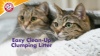 Show in main carousel: Arm & Hammer Litter Slide Multi-Cat Scented Clumping Clay Cat Litter, 19-lb box slide 12 of 14