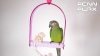 Show in main carousel: Penn-Plax Bird Life Cement & Acrylic Bird Swing, Medium slide 5 of 5