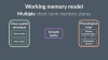 Strengths of the working memory model